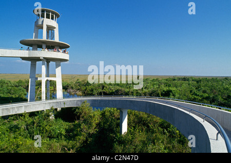 Ein Aussichtsturm in Shark Valley bietet den Besuchern einen Panoramablick des Everglades National Park, eine Wildnis in Florida, USA. Stockfoto