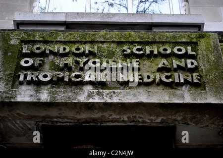 Moos bedeckt Zeichen in Stein für die London School of Hygiene und Tropenmedizin sehnte. Stockfoto
