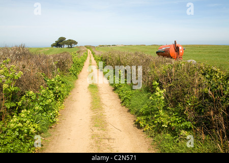 Sandy Lane Hecken Baumlandschaft Herm Island, Kanalinseln Stockfoto