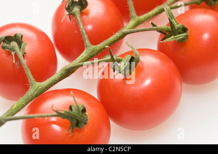 Reife Strauchtomaten Stockfoto