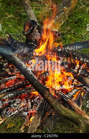 Lagerfeuer, Central Otago, Südinsel, Neuseeland Stockfoto