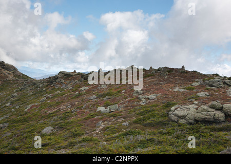 Franconia Ridge Trail in den White Mountains, New Hampshire USA aus kleinen Heuhaufen Berg. Stockfoto