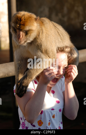 Junges Mädchen aufgeregt und lachen über eines der Berberaffe Affen auf dem Felsen von Gibraltar resident sitzt auf dem Kopf Stockfoto