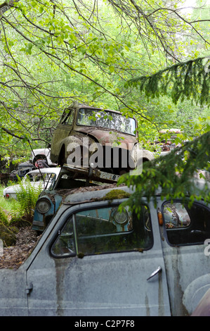 Autos auf Schrottplatz in Natur Einstellung, Schweden Stockfoto