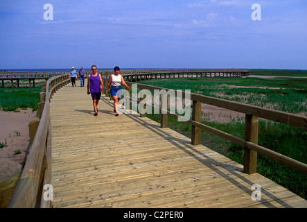 Menschen auf der Promenade am Irving Eco Centre Town von Buctouche New Brunswick Provinz Kanada Nordamerika Stockfoto