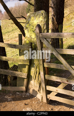 Alten Schiefer Stein Säule mit hölzernen Tor und Zaun, Cumbria, England, UK Stockfoto