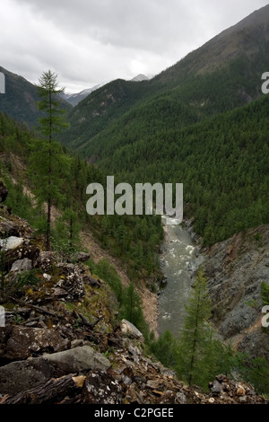 Der Kitoy-Fluss im Tal zwischen Tunkinskie Goltsy und Kitoyskie Goltsy Gebieten im östlichen Sajan-Gebirge. Sibirien. Russland. Stockfoto