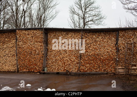 Ländliche Bigstack Brennholz unter Dach in Russland. Holzschuppen Stockfoto