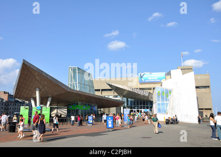 New England Aquarium in Boston, Massachusetts, Vereinigte Staaten Stockfoto