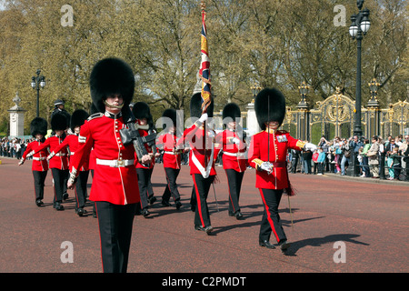 Grenadier Guards im Buckingham Palace Stockfoto