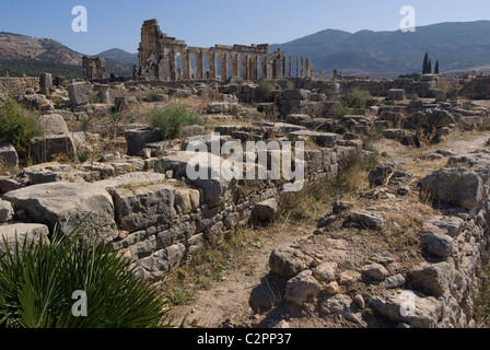 zur Basilika, numidischen, römische Stätte von Volubilis, in der Nähe von Meknès, Marokko Stockfoto