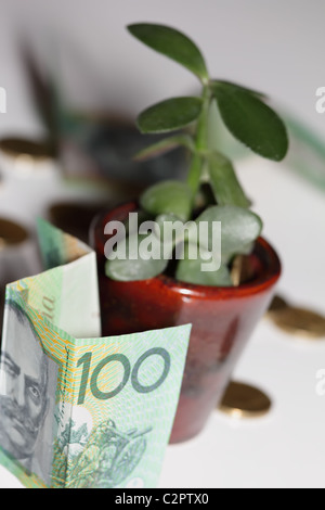 Australische ein hundert Dollar-Scheine mit Geldbaum und Goldmünzen Stockfoto