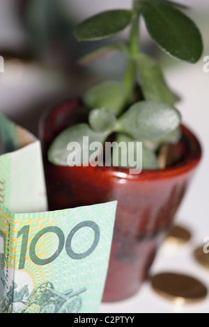 Australische ein hundert Dollar-Scheine mit Geldbaum und Goldmünzen Stockfoto