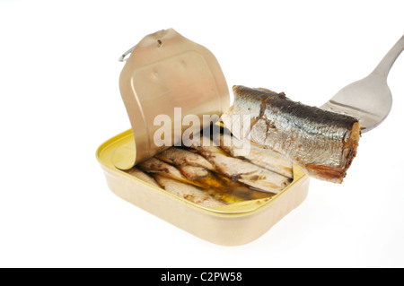 Offene Dose Sardinen mit einer Sardine auf einer Gabel auf weißem Hintergrund. Stockfoto