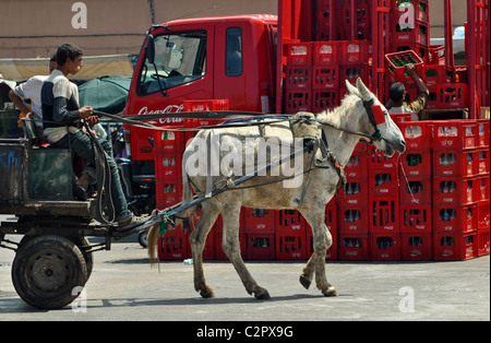 Eselskarren und Coca Cola Truck, Marrakesch, Marokko Stockfoto