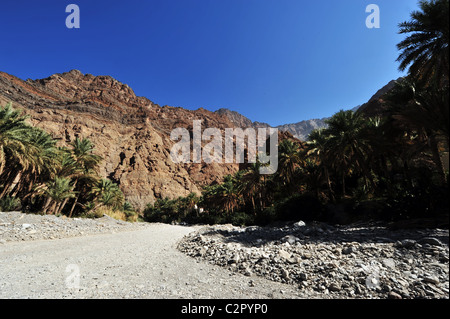 Oman, Wadi Bani Awf, Rocky Mountains gegen klarer Himmel mit Ventilator-Palmen und Landstraße Stockfoto