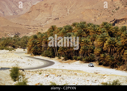 Oman, Wadi Bani Khalid, Palmen in Hülle und Fülle durch kurvenreiche Straße mit Auto in Wüste Stockfoto