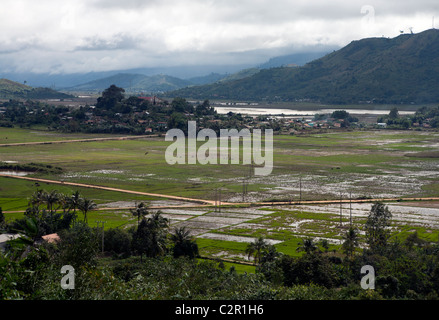 Blick über gefluteten Reisfeldern in der Nähe von Buon Ma Thuot im Hochland von Vietnam Stockfoto