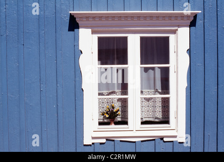 Weiße Fenster auf blaue Holz Haus, traditionelles schwedisches Dorf-Stil gekleidet, Arbeit Vorhang häkeln. Vimmersby, Smaland. Stockfoto