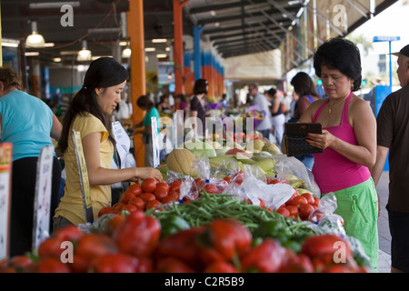 Shopping für Frischwaren Rustys Märkte. Cairns, Queensland, Australien Stockfoto