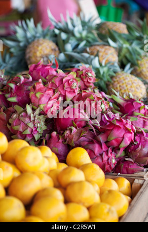 Frisches Obst auf Rustys Märkten. Cairns, Queensland, Australien Stockfoto