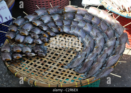 getrocknete Schlangenhaut Gurami Fisch auf Weidenkorb, Klong Toei Markt, Bangkok, thailand Stockfoto