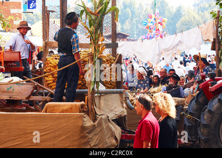 Douja d ' or Asti Festival Delle Sagre Essen und Wein, alte Traditionen, kulturelle Veranstaltungen und Kunst Italian Lifestyle Stockfoto