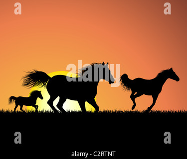 Pferd-Silhouette auf Sonnenuntergang Hintergrund. Vektor-Illustration. Stockfoto