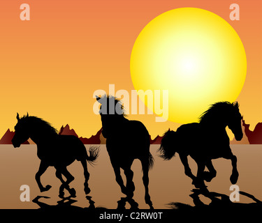 Pferd-Silhouette auf Sonnenuntergang Hintergrund. Vektor-Illustration. Stockfoto