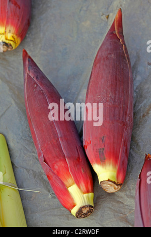 Banane Blumen, Musa X paradisiaca am Markt, Miao, Arunachal Pradesh, Indien Stockfoto