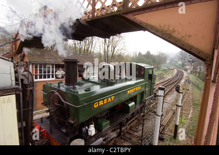 Eine große westliche Pannier Tank Dampflok auf der South Devon Railway in Buckfastleigh, Devon, UK. Stockfoto