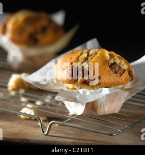 Muffin auf Tablett mit Backpapier rund um jede Kühlung. Schokolade-Chips in Muffins gebacken frisch auf dunklen Holzbrett Stockfoto