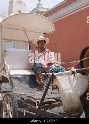 Der Fahrer von einem Pferd und Buggy, die richtet sich an Touristen durch das Angebot von Rundfahrten sitzt in seinem Rig in Antigua. Stockfoto