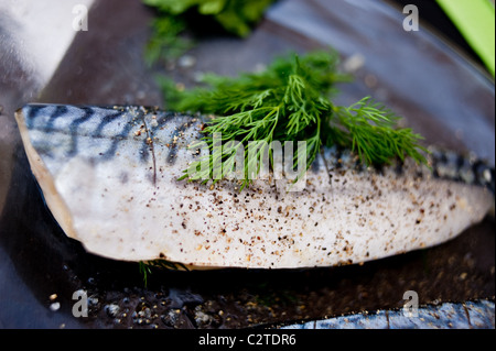 Frische Filets von Makrelen vorbereitet und bereit, auf ein outdoor-Grill Bbq im Garten kochen Stockfoto