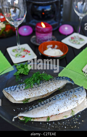 Frische Filets von Makrelen vorbereitet und bereit, auf ein outdoor-Grill Bbq im Garten kochen Stockfoto