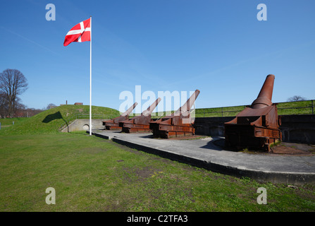 Alte verrostete Kanonen / Waffen im Charlottenlund Fort in den Öresund (der Klang) - Teil der alten Küste Verteidigung von Kopenhagen Stockfoto