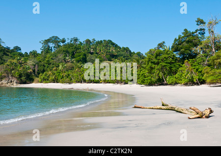 Unberührten Strand im Manuel Antonio National Park, Provinz Puntarenas, Costa Rica Stockfoto