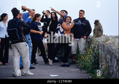 Junge Touristen füttern und necken die Berberaffen auf dem Gipfel des Felsens von Gibraltar Stockfoto