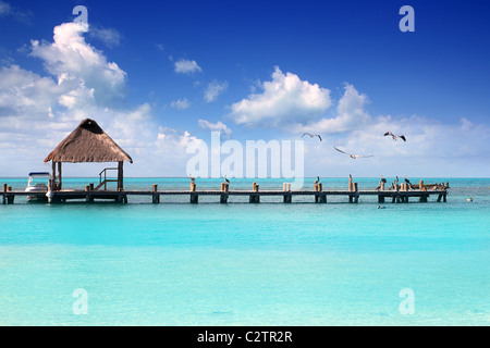 Karibik-tropischen Strand Kabine Pier Contoy Insel Mexiko Stockfoto