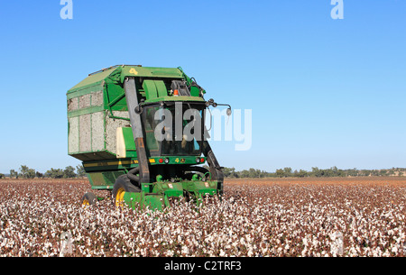 John Deere Erntemaschine Baumwolle. Narrabri, westlichen Plains New South Wales, Australien Stockfoto