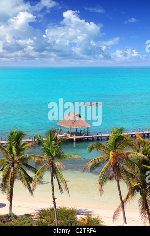 Luftbild Contoy tropischen Karibikinsel Mexiko Palmen und Meer Stockfoto