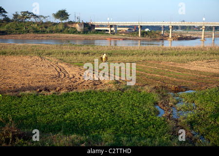 Bewässerung der Felder an den Ufern des Flusses Dakbla in Kon Tum Stockfoto