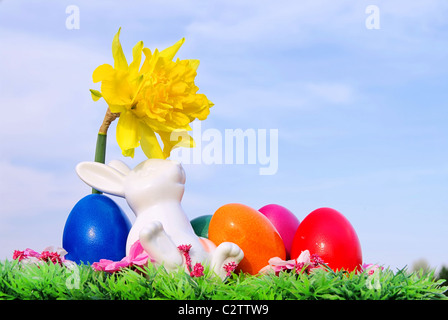 Osterhase Auf Blumenwiese - Osterhase auf Blumenwiese 03 Stockfoto