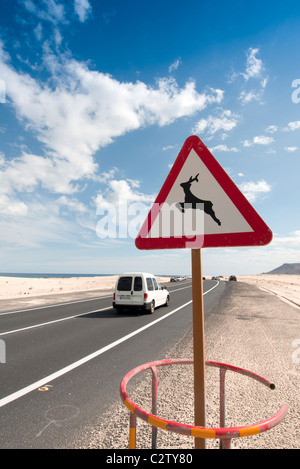 Parque Natural de Corralejo mit einem hütet euch vor den Hirsch Warnschild Stockfoto