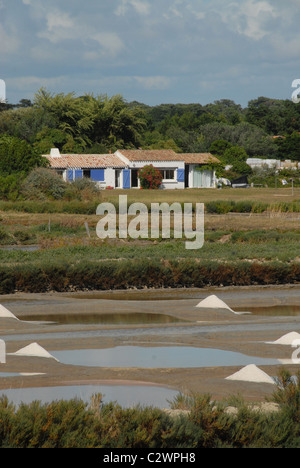 Salinen für Ozean-Salz der Île de Noirmoutier an der französischen Atlantikküste Insel Noirmoutier in der Vendée, Pays De La Loire Stockfoto