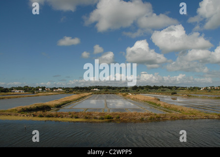 Salinen für Ozean-Salz der Île de Noirmoutier an der französischen Atlantikküste Insel Noirmoutier in der Vendée, Pays De La Loire Stockfoto