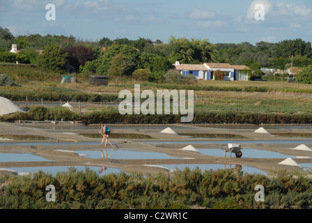 Salinen für Ozean-Salz der Île de Noirmoutier an der französischen Atlantikküste Insel Noirmoutier in der Vendée, Pays De La Loire Stockfoto