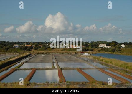 Salinen für Ozean-Salz der Île de Noirmoutier an der französischen Atlantikküste Insel Noirmoutier in der Vendée, Pays De La Loire Stockfoto