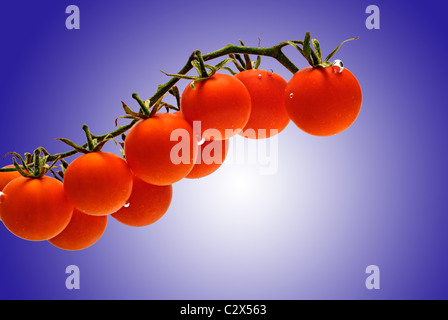 Tomaten-Gemüse. Essen auf weiß Stockfoto