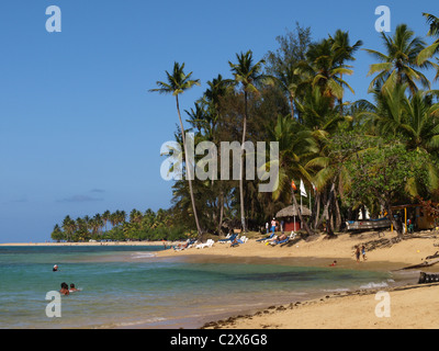 Las Terrenas Strand an einem sonnigen Tag mit Touristen und Einheimischen im Wasser. Stockfoto